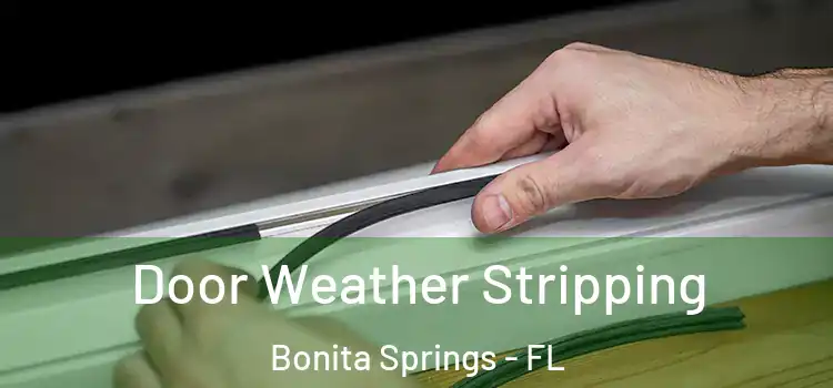 Door Weather Stripping Bonita Springs - FL