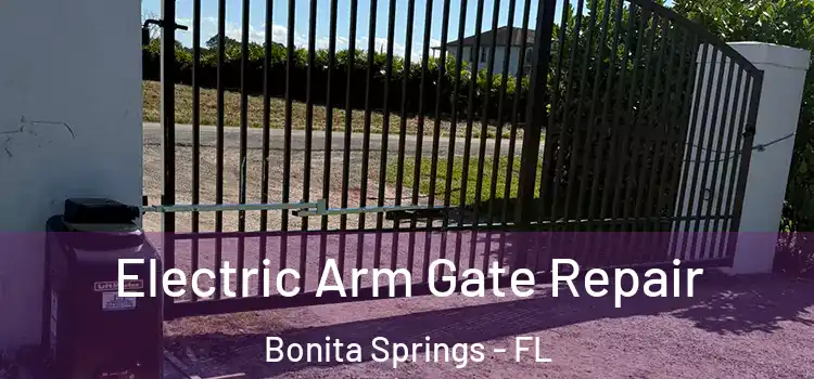Electric Arm Gate Repair Bonita Springs - FL