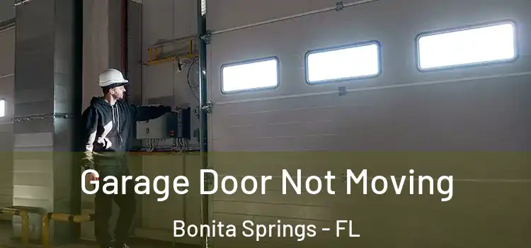  Garage Door Not Moving Bonita Springs - FL
