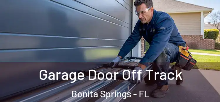  Garage Door Off Track Bonita Springs - FL