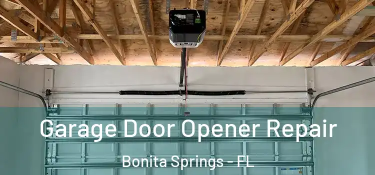  Garage Door Opener Repair Bonita Springs - FL