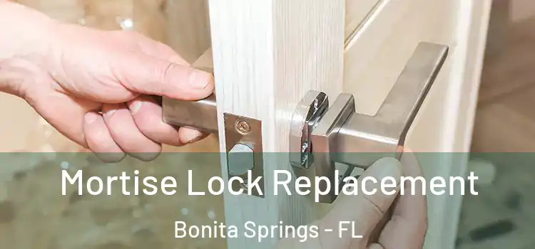  Mortise Lock Replacement Bonita Springs - FL