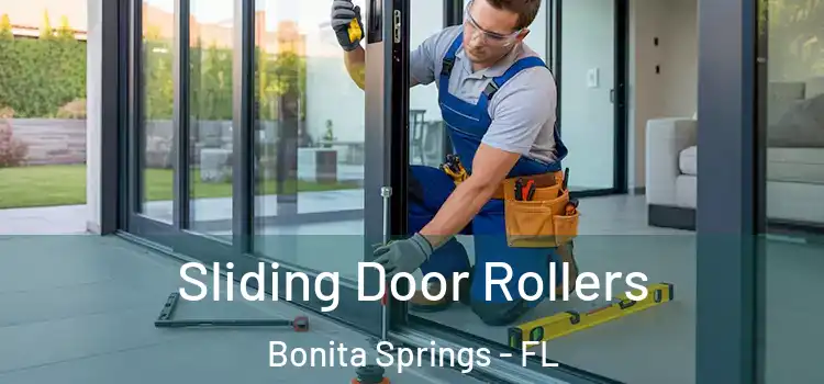  Sliding Door Rollers Bonita Springs - FL
